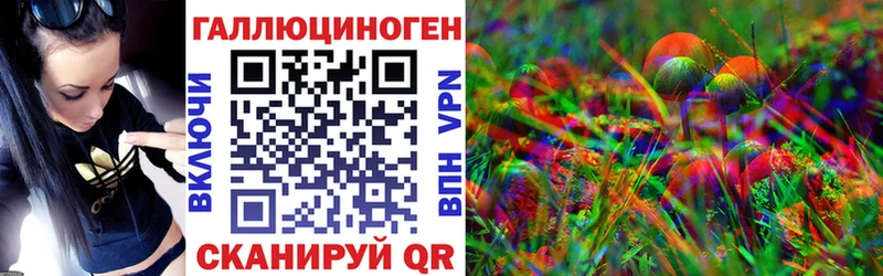 Псилоцибиновые грибы Psilocybine cubensis Кыштым