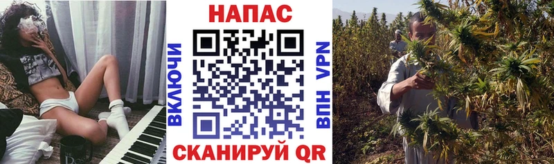 Шишки марихуана Bruce Banner  mega tor  Кыштым  даркнет сайт 